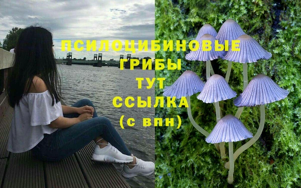 эйфоретик Верхний Тагил